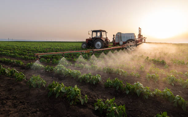 Pest Prevention Services in Duson, LA