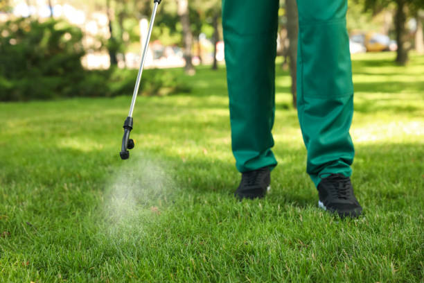 Professional Pest Control in Duson, LA