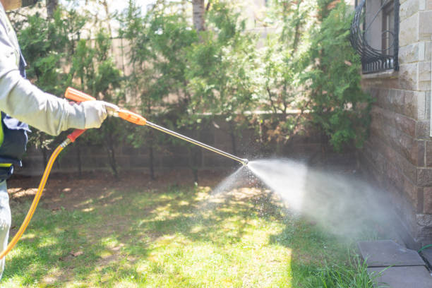 Best Residential Pest Control  in Duson, LA